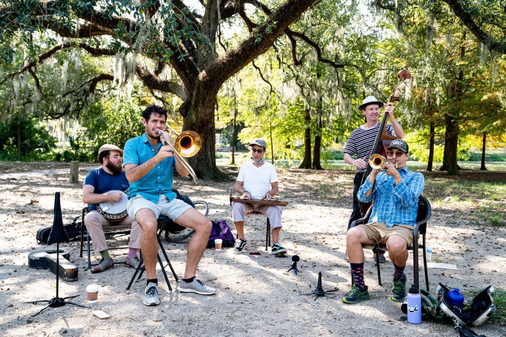 A jazz band performing outdoors beneath a large oak tree