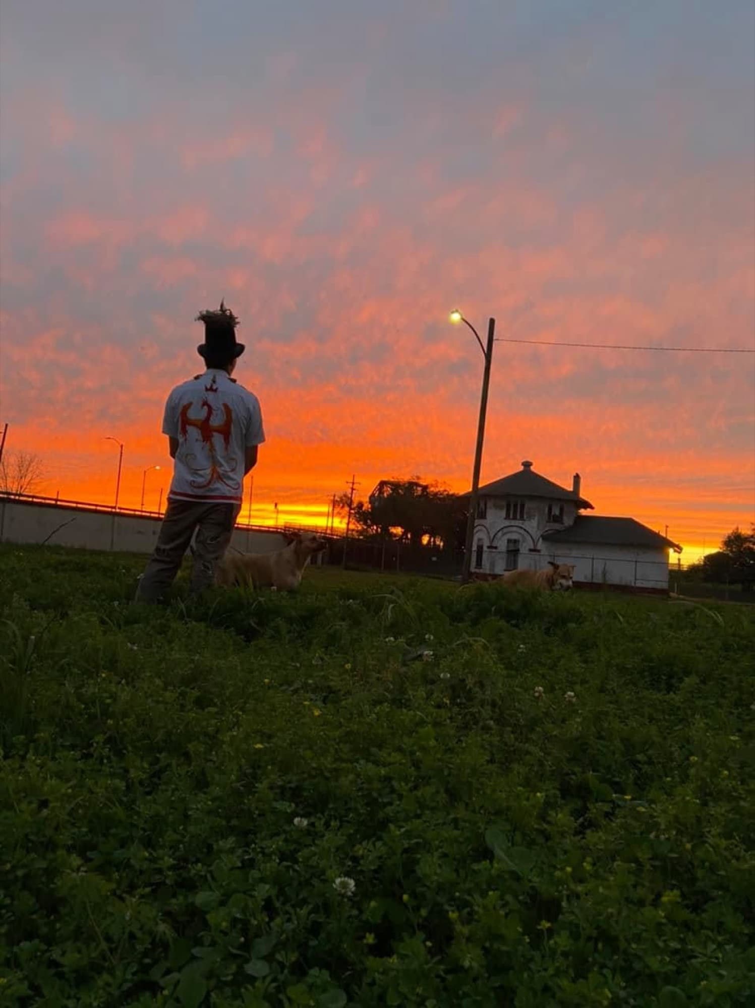 A person standing in a field beneath an orange sunset